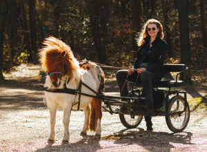 Myrthe (17) “Je Ziet Het Niet Vaak Voorbij Komen, Een Paard En Wagen ...